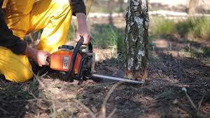 Best Grass Overseeding  in Greenville, PA